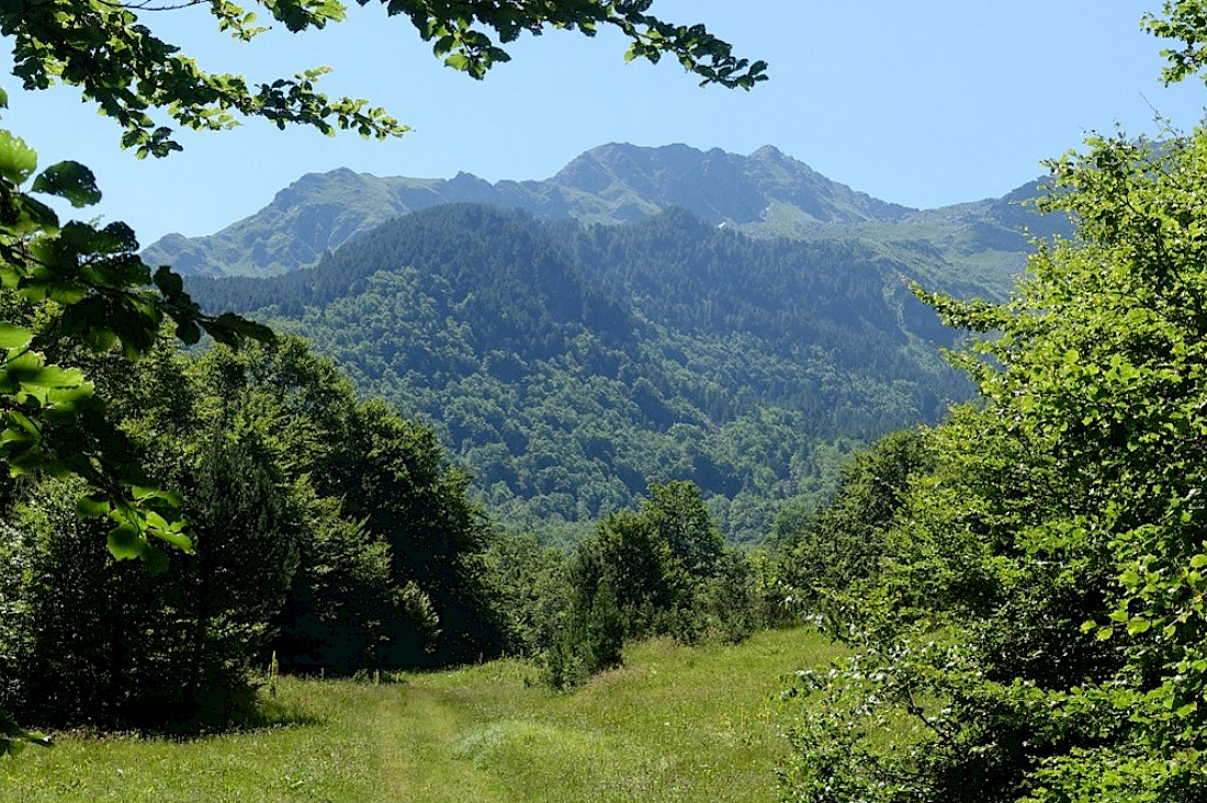 Landscape in Sharri National Park, Kosovo. Photo: H.Brey, 2019